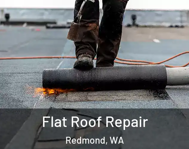  Flat Roof Repair Redmond, WA