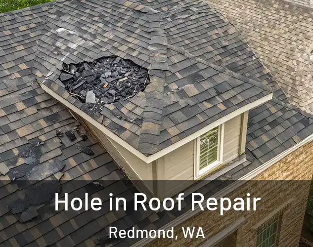  Hole in Roof Repair Redmond, WA