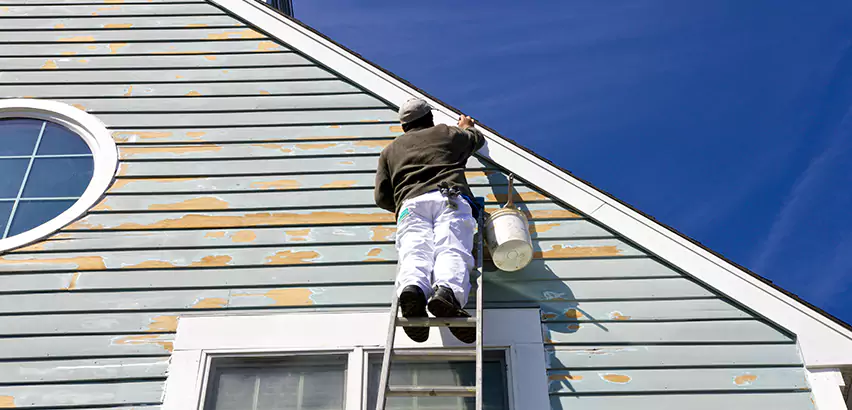 Professional Roof and Siding Repair Services in Redmond, WA