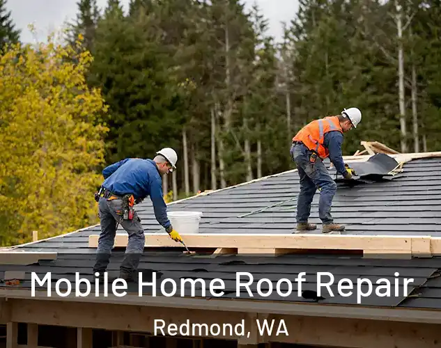  Mobile Home Roof Repair Redmond, WA