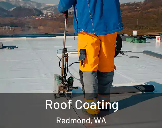  Roof Coating Redmond, WA