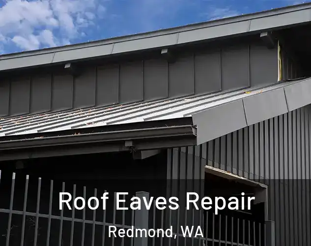  Roof Eaves Repair Redmond, WA
