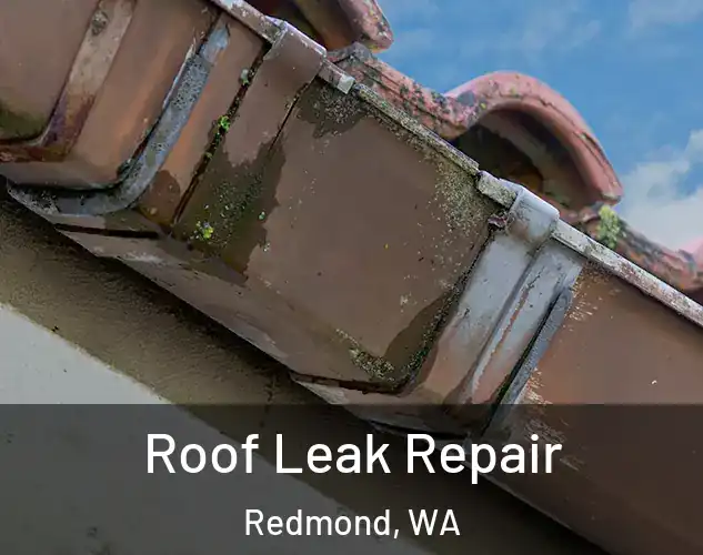  Roof Leak Repair Redmond, WA