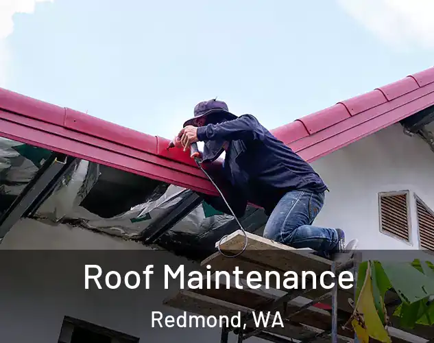  Roof Maintenance Redmond, WA