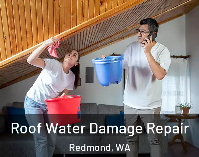  Roof Water Damage Repair Redmond, WA