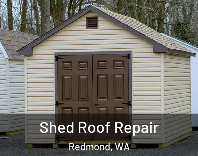  Shed Roof Repair Redmond, WA