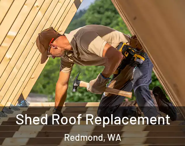  Shed Roof Replacement Redmond, WA
