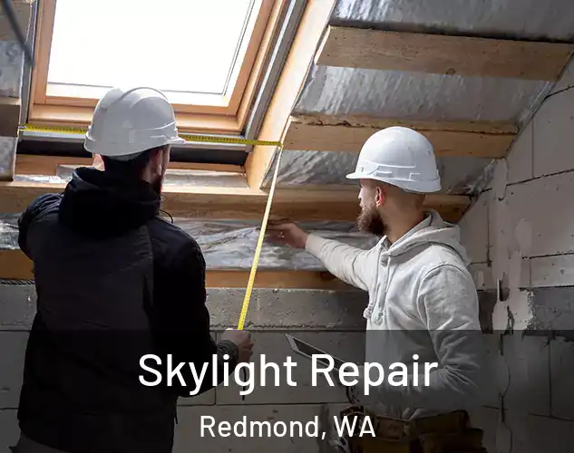  Skylight Repair Redmond, WA