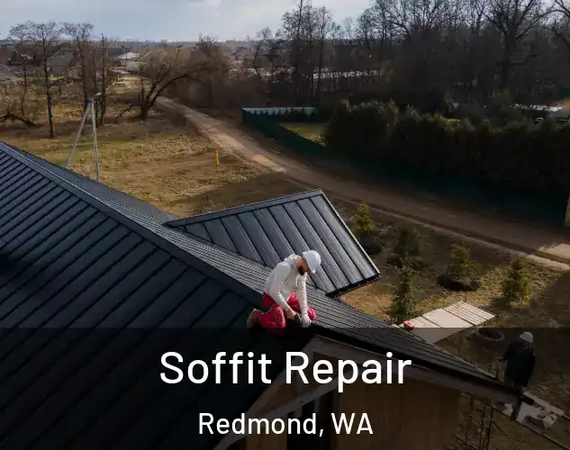  Soffit Repair Redmond, WA